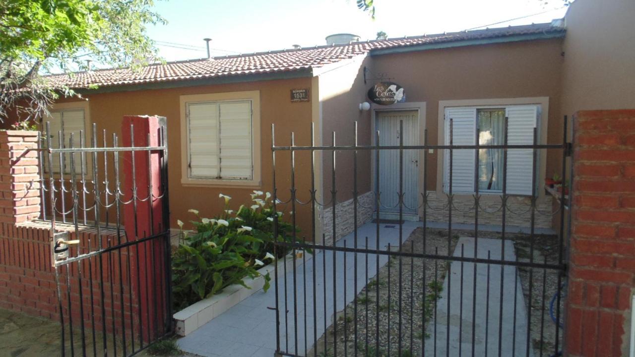 Casa Calas Holiday home *