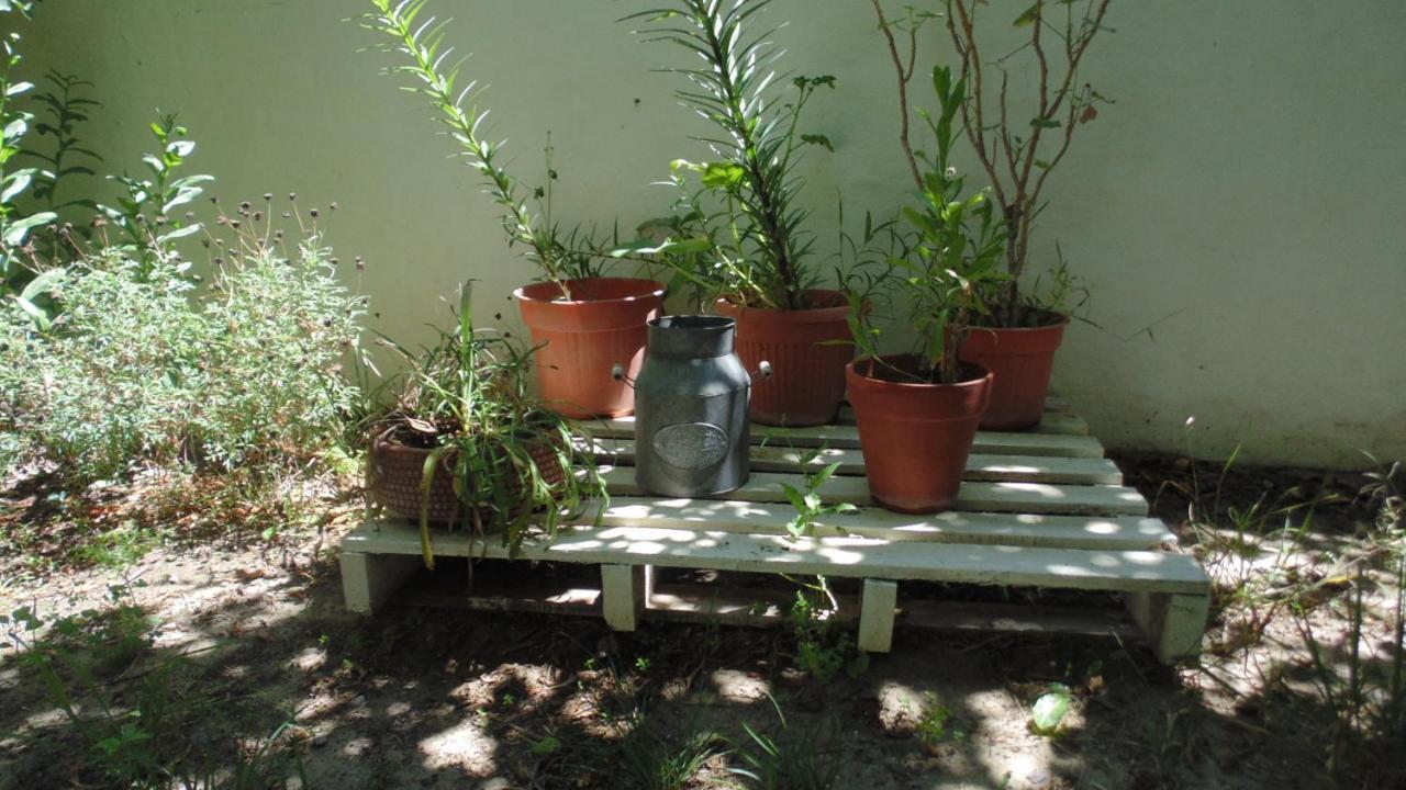 Casa Calas Holiday home *